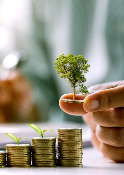 Medio Ambiente y Ecoeficiencia