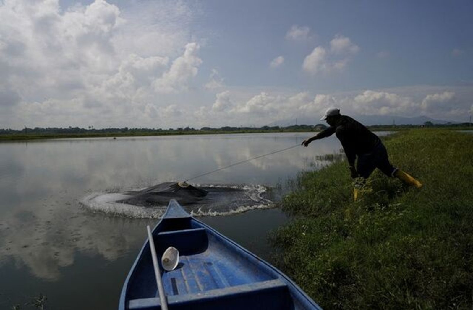 Ecuadorean Shrimp Sales Rebound in 2025