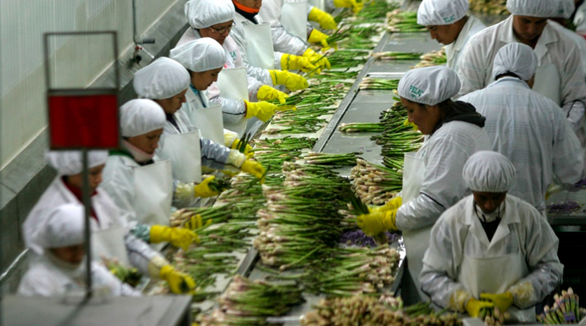 Agroexportaciones crecen 3,6 % en primer semestre y superan los US$ 5600 millones