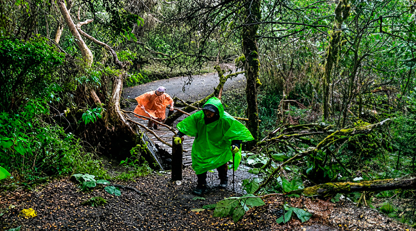 Camino Inca a Machu Picchu seguirá cerrado hasta el 22 de agosto por lluvias