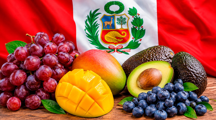 El Niño estaría afectando ciclos productivos del mango, arándanos, palta Hass y uva